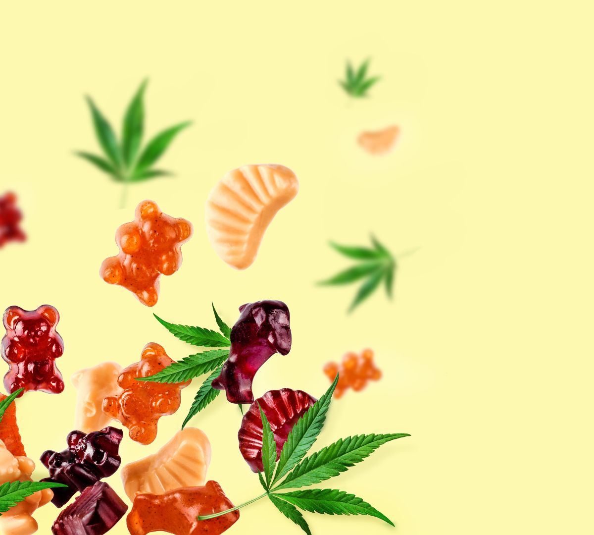 Delta-9 Gummies With A Cheech And Chong Twist Unleash The Fun And Let Your Worries Dissolve